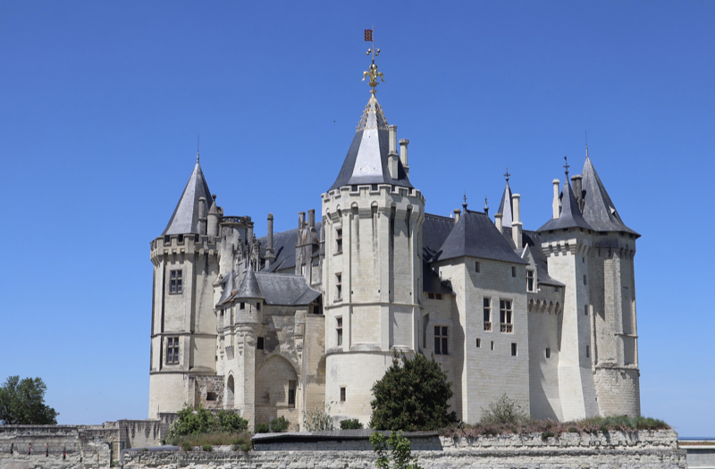 Château fort médiéval - motte castrale du 10ème siècle