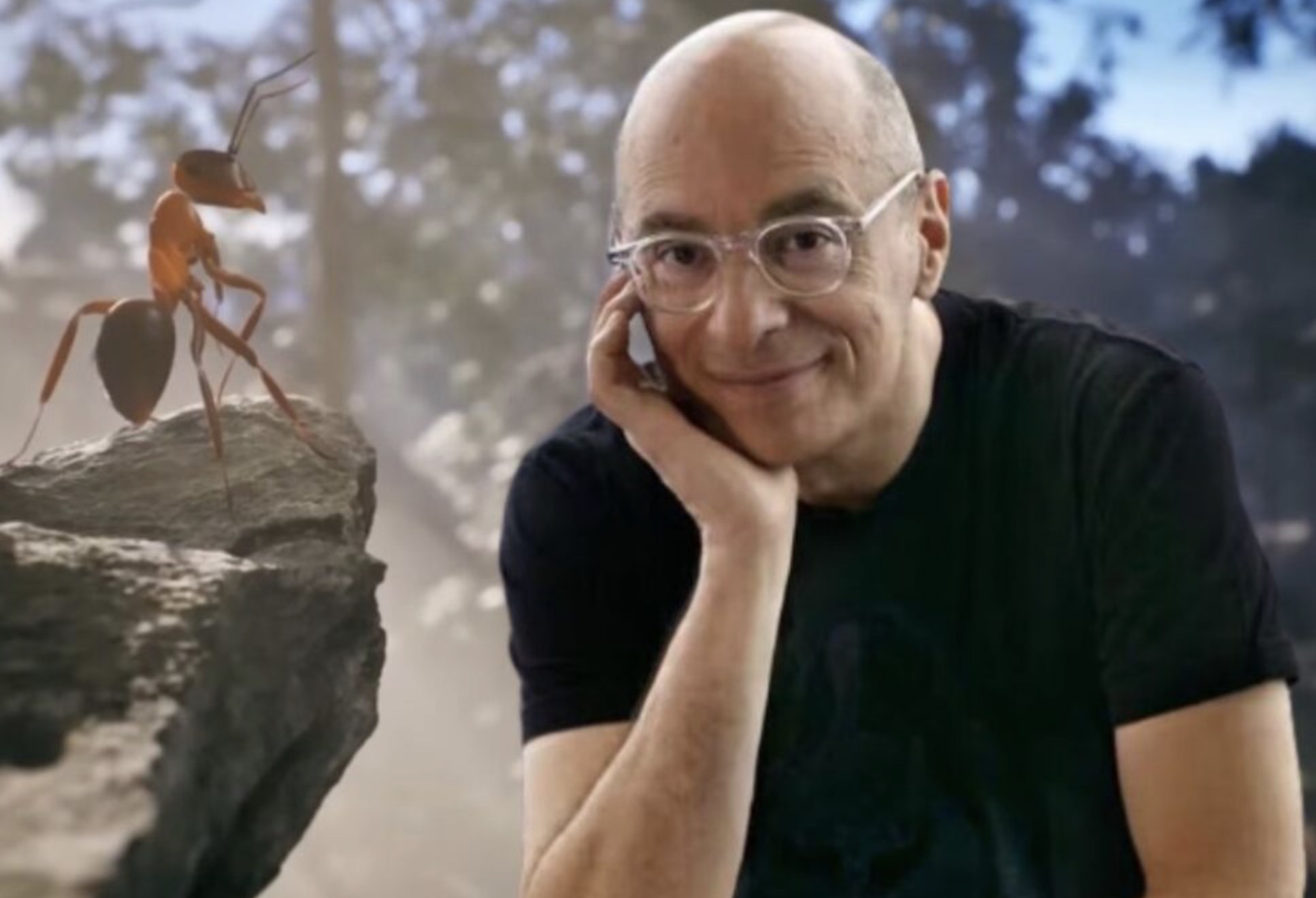 Tranchées de la Première Guerre mondiale